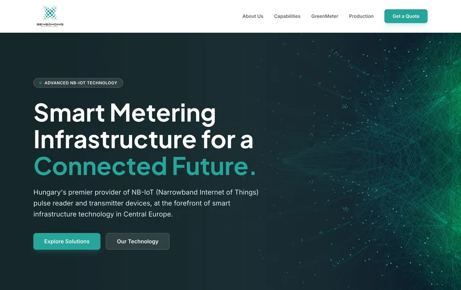 Sensomoniq — weboldal referencia